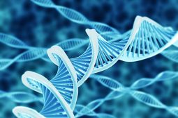 4 tendências tecnológicas para saúde