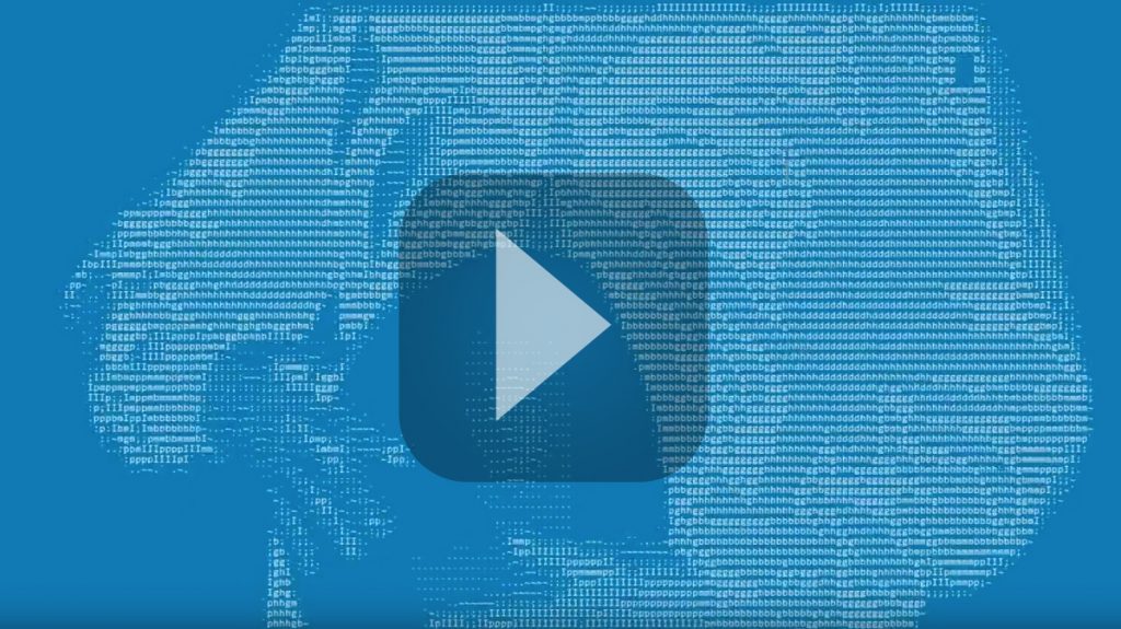 A Pixeon vive um novo momento