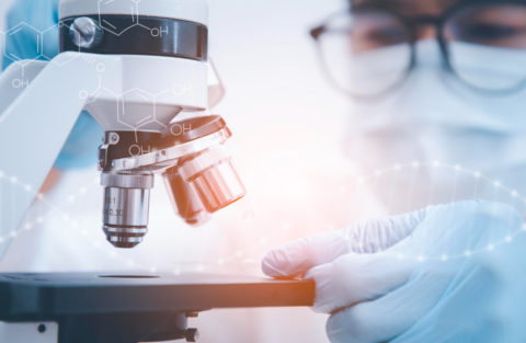 equipamentos de laboratório e suas funções, 5 principais equipamentos de laboratório e suas funções